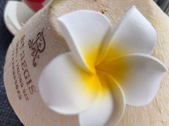 -三亚亚龙湾瑞吉酒店·宴悦Driftwood·游水海鲜·牛排·草坪·私人定制