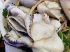 深海黄金蚝大个火锅-千岛蚝高压锅生蚝·人参火锅(白云万达店)