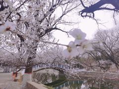 -满都海公园