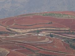 -红土地风景区
