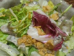 -坦坦大炉·韩式烤肉(望京店)