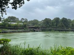 -河川生态园