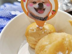 -逗柴咖啡屋·狗咖猫咖宠物桌游