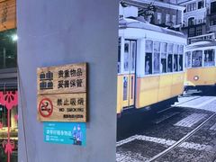 -鸽子窝(宋庄店)
