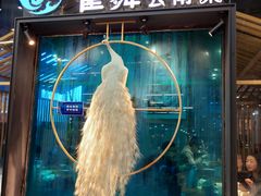 -雀舞云南菜(乐客城店)