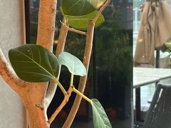 -gaga(北京新中关购物中心店)