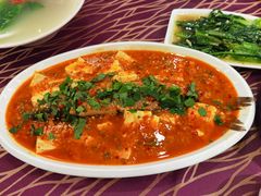 -陈麻婆豆腐(春熙店)