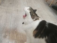 -小时光咖啡馆(北锣鼓巷店)