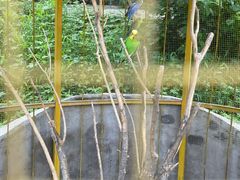 -北京鹿世界主题园