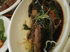 -清雅轩·清真菜·传统菜•融合菜(滑翔店)
