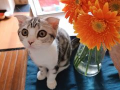 -艾贝尔宠物诊疗