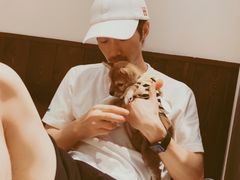 -逗柴咖啡屋·狗咖猫咖宠物桌游