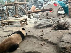 -武汉动物园