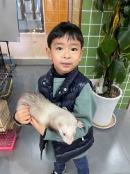 -Moni星球萌宠·小马宝莉·灵蛇·高端高阶全萌宠互动体验俱乐部(红豆国际广场店)