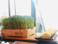 -湊湊火锅·茶憩(上海合生汇店)