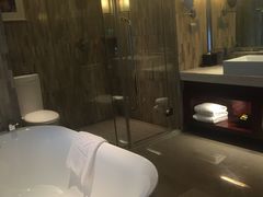 -常州环球恐龙城维景国际大酒店