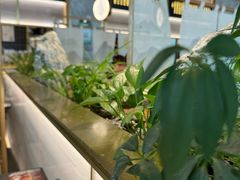 -赠李白·如诗的川味(余杭万达广场店)