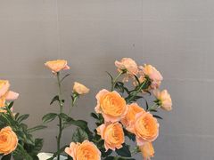 -君来湖滨饭店·渔餐厅