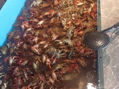 小龙虾-星伦多 自助料理(圆融店)