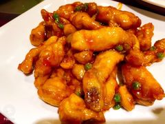 糖醋里脊-金鼎轩·滋养小餐馆(联想桥店)