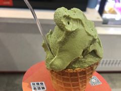 -野人先生现做冰淇淋(西安赛格店)