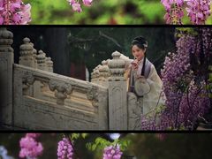 -北京国子监胡同