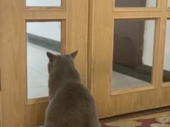 -壹人壹像工作室(购物公园店)