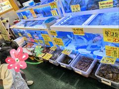 -西归浦每天偶来市场