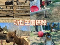 -大连森林动物园