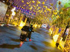 -锦江乐园舞狸花花游园会(夜场专享)