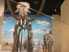 -国家自然博物馆