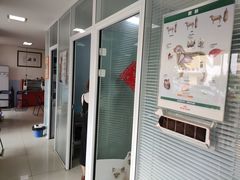 -瑞派福兴宠物医院犬猫全科·骨科·中西医结合(河东店)
