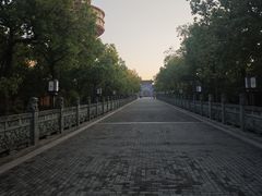 -高旻寺