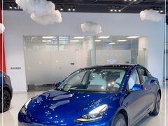 -TESLA 特斯拉(深圳观澜特斯拉直营钣喷中心)