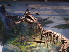 -自贡恐龙博物馆