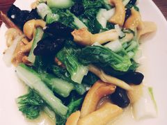 山蘑炒小白菜-李老哈·东北菜(宋园路店)