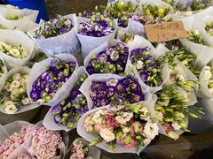 -三圣花乡旅游区