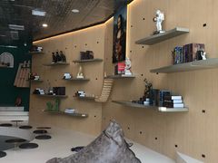 -飞行喵MR PILOT|猫舍·猫咖(静安大融城店)