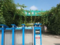 -白鹿原葡萄主题公园