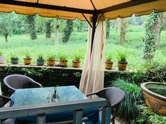 露天位-野蔓果·山野菜(西湖景区·龙井茶田店)