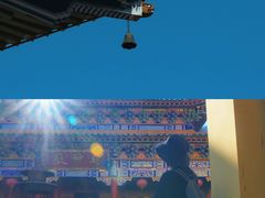 -天目山大树王景区