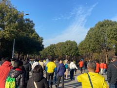 -南湖湿地公园