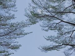 -荔枝公园(福田区)