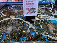 -盒马鲜生(公园1903店)