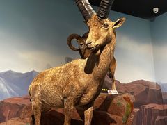 -陕西自然博物馆