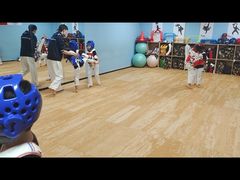 -嗨动跆拳道体能馆(菜百店)