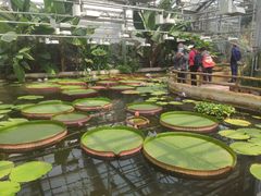 -国家植物园南园