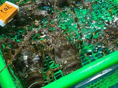 -都斛海鲜街