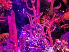 -沈阳海洋探索中心