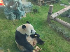 -大连森林动物园